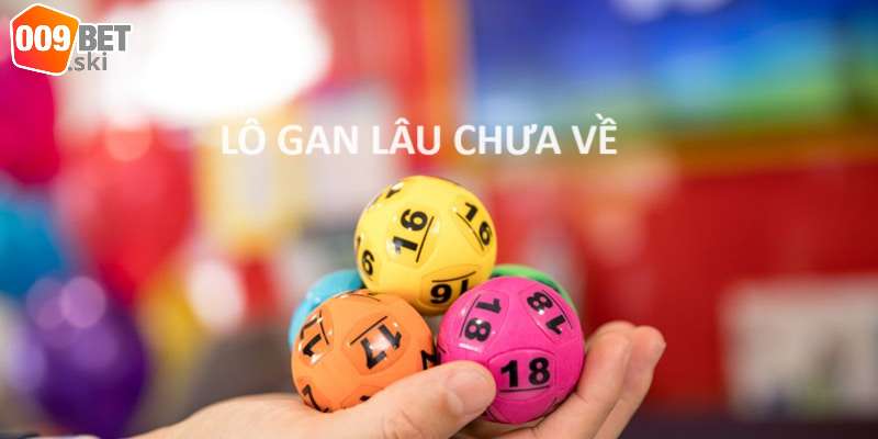 Giới thiệu về việc nuôi lô gan hay tại 009bet